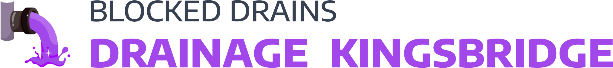 website logo